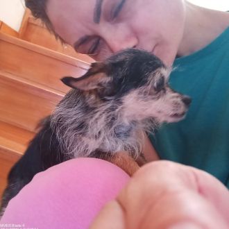 Rafaela - Apoio Domiciliário - Bodiosa