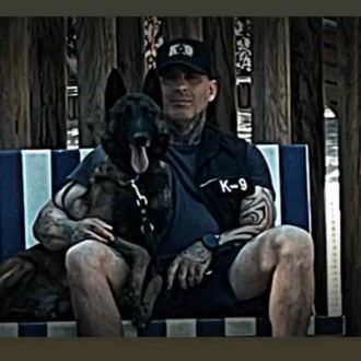 Martinsk9 - Treino de Cães - Setúbal