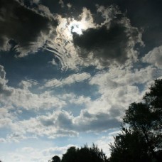 PAULO TEIXEIRA LOPES - Arte DE COMUNICAR - Aulas de Artes, Flores e Trabalhos Manuais - Porto