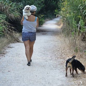 L Silva - Cuidados para Animais de Estimação - Matosinhos