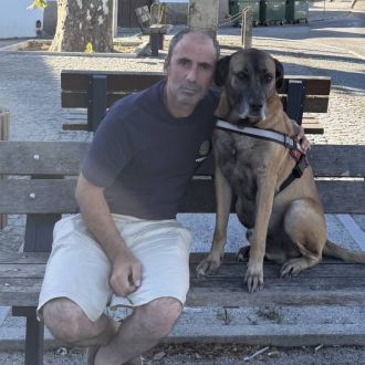 Nemesio Pereira - Estofador - Viseu