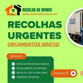 Recolha de Monos - Déménagement - Lumiar