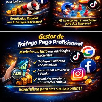 Gestor de Trafego Pago - Carros - Alenquer