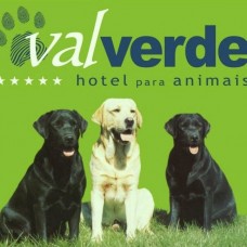 Quinta do ValVerde - Treino de Animais - Lisboa