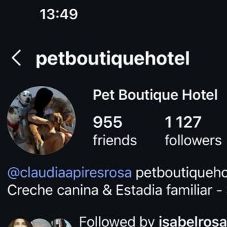 Pet Boutique Hotel - Hotel e Creche para Animais - Setúbal