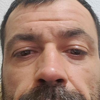 Limpamato - Poda e Manutenção de Árvores - Santa Clara e Castelo Viegas