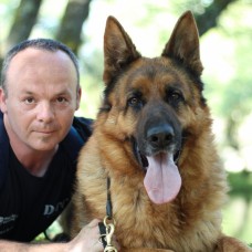 DOGS TRAINING CONCEPTS - Treino de Animais - Viana do Castelo