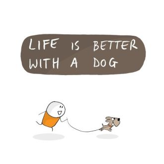 Ana Silva - Pet Sitting e Pet Walking - Trofa