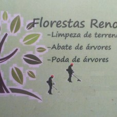 Florestas Renovadas - Jardinagem e Relvados - Vieira do Minho