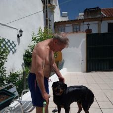 Miguel Santos - Pet Sitting e Pet Walking - Portalegre