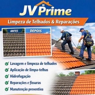 Vinicius C. -