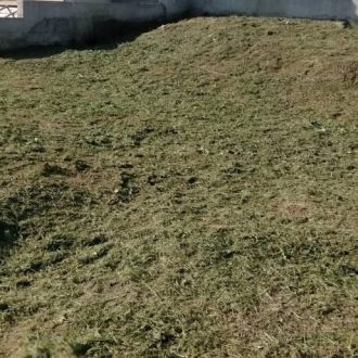 Fábio Mendes - Jardinagem e Relvados - Castelo Branco