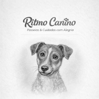 Ritmo Canino - Treino de Animais - Vila do Conde