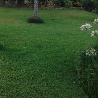 CC Jardins & Construção - Paisagismo - Lagoa