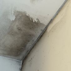 Total clean - Limpeza - Torres Vedras