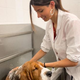 Beatriz Conceição - Pet Sitting e Pet Walking - Cadaval
