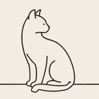 Casa de Gato - Treino de Animais - Fafe