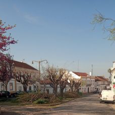 Carlos Figueiras - Biscates - Évora