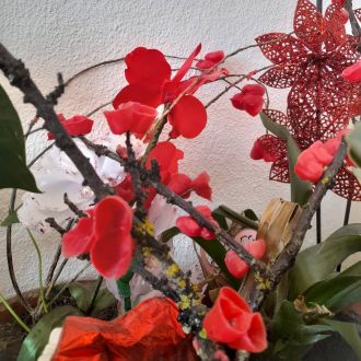 Carvalho Cleaning - Limpeza de Propriedade - Alvor