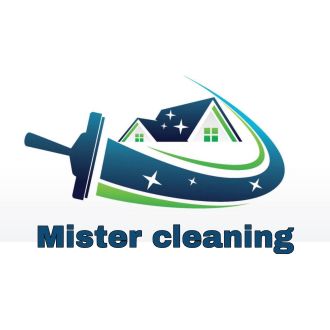 Mister cleaning - Animação - Pinturas Faciais e Corporais - Faro