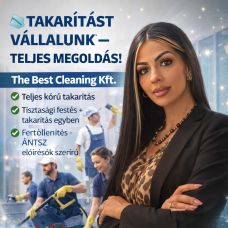 Pink Brill Cleaning Kft - Pose de gazon synthétique - Arroios