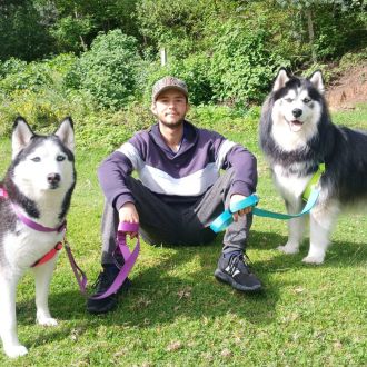 Enzo - Pet Sitting e Pet Walking - Barreiro