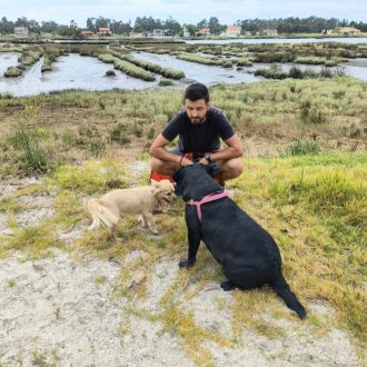 PatinhasFelizes - Pet Sitting e Pet Walking - Arouca