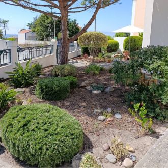 S&F Jardinagem 🌱🌿 - Jardinería - Maxial e Monte Redondo