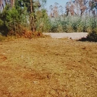 Francisco - Jardinagem e Relvados - Terras de Bouro