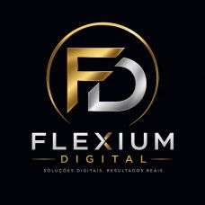 Diogo Gouveia,  Flexium Digital - Programmation web - Santa Maria Maior