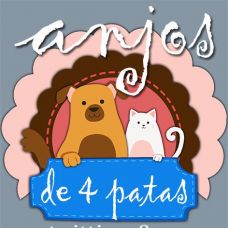 D&eacute;a Gonzalez - Cuidados para Animais de Estima&ccedil;&atilde;o - Viana do Castelo