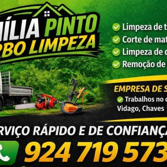 Turbo limpezas - Jardinagem e Relvados - Peso da Régua