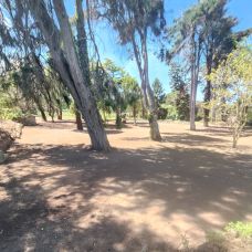 Carlos Silva - Lieferdienst - Carcavelos e Parede