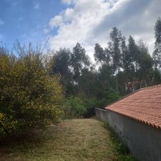 Inácio monteiro - Microcement - Cidade da Maia
