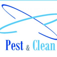 Pest & Clean - Desinfestação e Controlo de Pragas - Lisboa