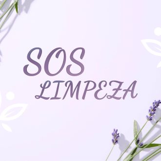 Mariana - Organização de Casas - Valongo