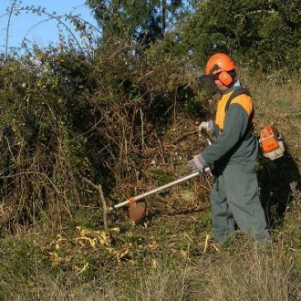 Limpeza de terrenos pintor - Limpeza - Póvoa de Varzim
