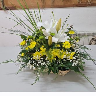 RosMary - Floristas - Coimbra
