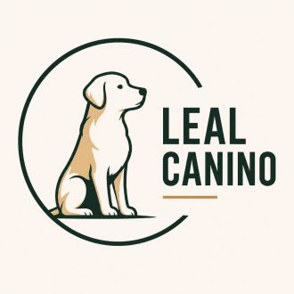 Bruna Mendes| Leal Canino - Treino de Cães - Loures