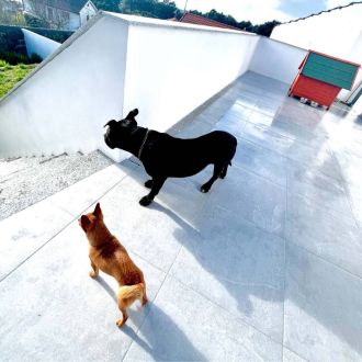 Andreia Lima - Pet Sitting e Pet Walking - Valença