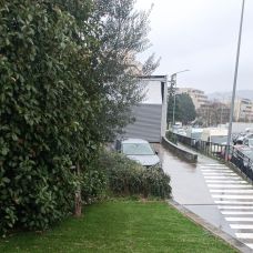 Ricardo celes - Limpeza - Gondomar