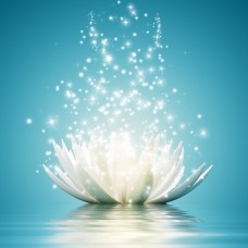 Joana Vasconcelos - Reiki - Paredes