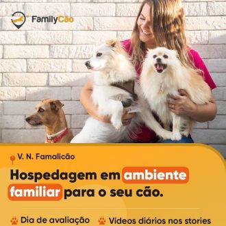 Petsitter Famalicão - Pet Sitting e Pet Walking - Braga