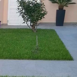 M.F JARDINS - Jardinagem - Charneca de Caparica e Sobreda