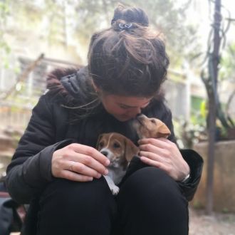 Amanda Pet Sitter & Dog Walker - Pet Sitting e Pet Walking - Coimbra