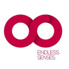 Endless Senses - Anima&ccedil;&atilde;o e Organiza&ccedil;&atilde;o de Eventos - Entretenimento de Dan&ccedil;a - Porto