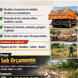 Manuel & Pedro 🙏✍️☔🌝🛠️📝🗑️ - Déménagement - Avidos e Lagoa