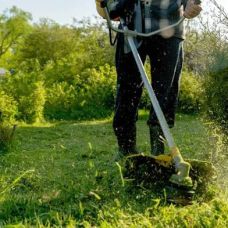 Sou trabalhador profissional por conta própria, fasso remoção de lixo, fasso jardinagem, limpeza de terrenos, sou pintor de paredes - Avaliação - Glória e Vera Cruz