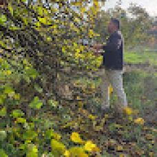 Donizete serviços - Jardinagem e Relvados - Cascais