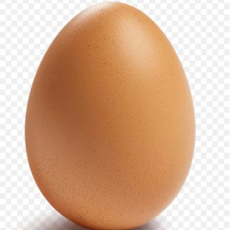 Eggy - House Sitting e Gestão de Propriedades - Porto